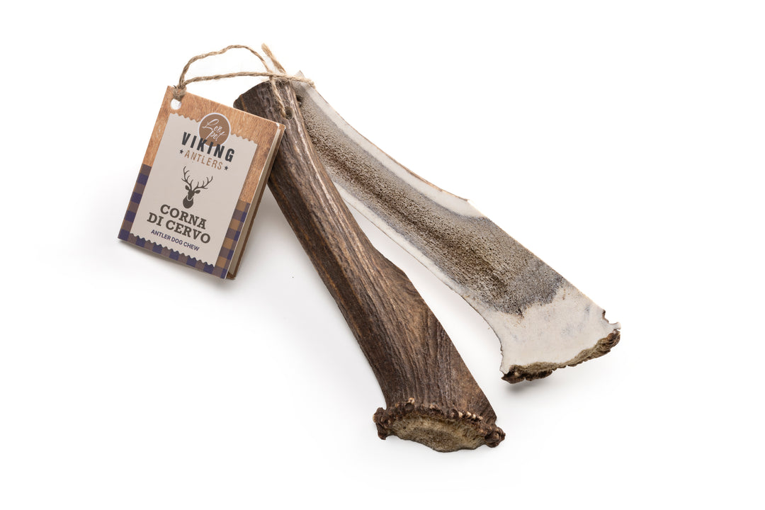 VIKING - CORNA DI CERVO APERTE