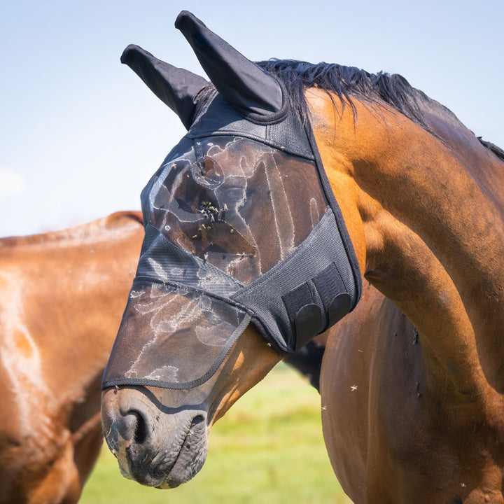 MASCHERA ANTIMOSCHE INTERA