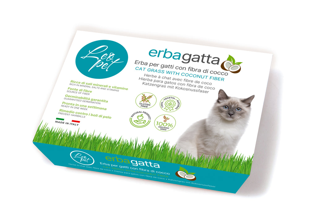 ERBA PER GATTI CON FIBRA DI COCCO