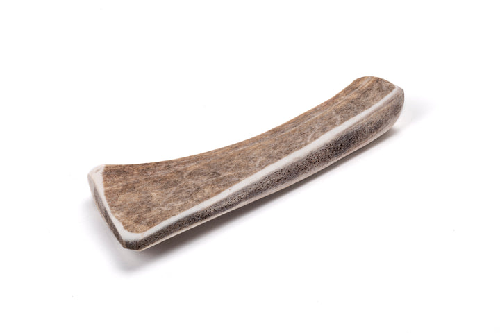 VIKING - CORNA DI DAINO