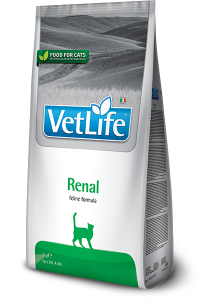 VET LIFE CAT - RENI