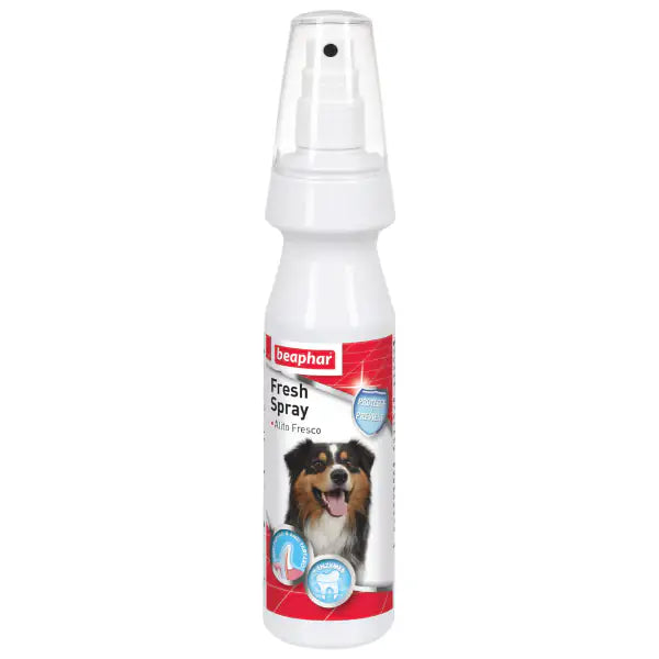 BEAPHAR FRESH SPRAY - ALITO FRESCO