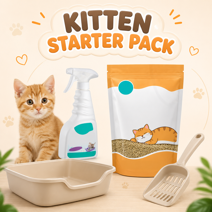 KITTEN STARTER PACK